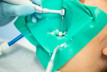 istockphoto-1272264207-612x612